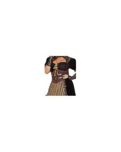 Adult Steampunk Lady Costume -Spirit Halloween Deals Store 01482488 e